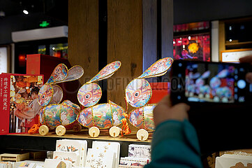 China-Shanghai-Yuyuan Garden-Lantern Festival-Celebration (CN)