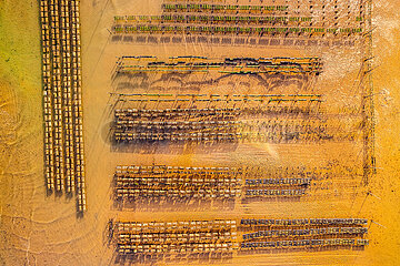 France. Aquitaine. Gironde (33) Lege Cap Ferret  Aerial view of oyster beds at low tide