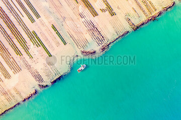 France. Gironde(33)  Lege Cap ferret. Aerial view showing oyster beds at low tide with a fishing boat