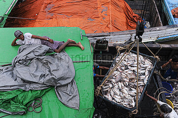 Yangon  Myanmar  Arbeiter verladen frisch gefangenen Fisch von einem Fischerboot auf dem Baho San Pya Fischmarkt