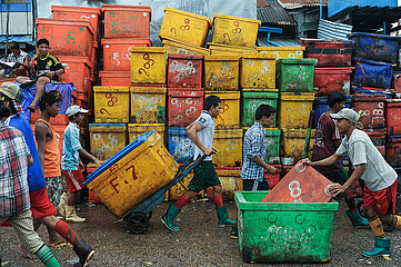 Yangon  Myanmar  Arbeiter ziehen Sackkarren mit Kuehlboxen auf dem traditionellen Baho San Pya Fischmarkt
