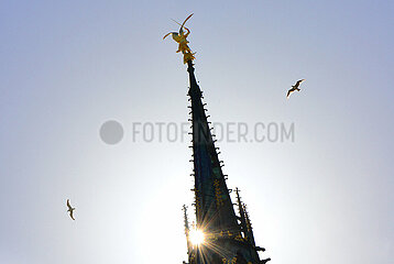 France. Manche (50). Mont Saint-Michel. Seagulls fying around the statue of the archangel Micheal on the top of the belltower of the church of the Saint-Michel' abbey.