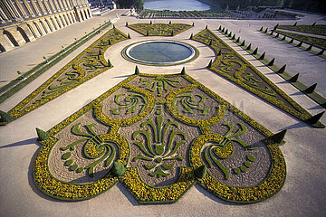 France - Ile de France - Yvelines (78) - Versailles: Chateau de Versailles: Boxwood decorations on the southern parterre designed by Le Notre with  in the foreground  the fleur-de-lis  symbol of royalty. In the background  the Orangery and the Suisses water feature.