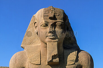 EGYPTE  TANIS  RUINES DU GRAND TEMPLE D'AMON