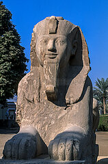 EGYPTE  MEMPHIS  SPHINX EN ALBATRE XIX DYNASTIE