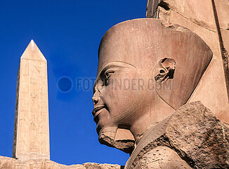 EGYPTE  LOUXOR  TEMPLE D'AMON