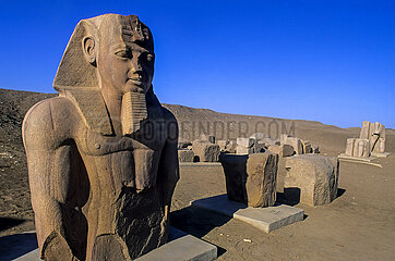 EGYPTE  TANIS  RUINES DU GRAND TEMPLE D'AMON