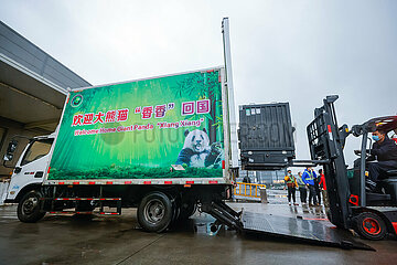 China-Sinnuan-Chegdu-Giant Panda-Arrival (CN)