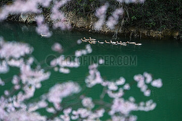 (Zhejiangpictorial) China-Zhejiang-Spring-Scenery (CN)