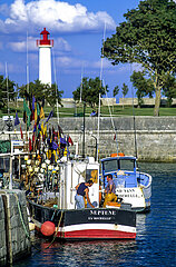 France. Charente Maritime (17) Ile de Re  village of Saint Martin de Re  return from fishing to the port