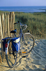France. Charente Maritime (17) Ile de Re  village of Sainte Marie de Re  go to the beach by bike