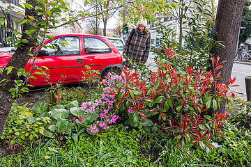 Guerilla Gardening - Anwohner verschönern Ihre Strasse mit selbstgepflanzten Blumen und Bäumen