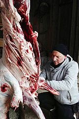 Neu Kaetwin  Deutschland  Mann zieht einem erlegten Wildschwein das Fell ab