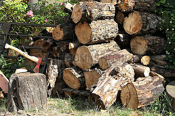 Ingelheim  Deutschland  Axt steckt vor zerteilten Baumstaemmen in einem Baumstumpf
