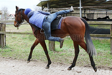 Neuenhagen  Reiter schwingt sich vom Boden aus mit Schwung in den Sattel seines Pferdes