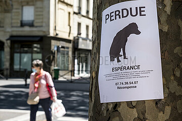 France. Paris (75) 10th arrondissement. Poster following the loss of a pet  boulevard de Strasbourg  during the crisis of the covid19 epidemic
