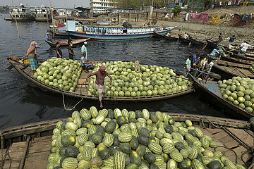 Bangladesch-Dhaka-Watermelon-Handel