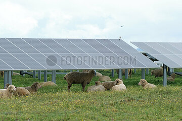 Spanien-Caceres-Francisco Pizarro-Photovoltaic Power