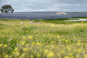 Spanien-Caceres-Francisco Pizarro-Photovoltaic Power