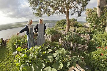France. Manche (50) Mont Saint Michel benedictine abbey listed as World heritage by Unesco. The kitchen garden