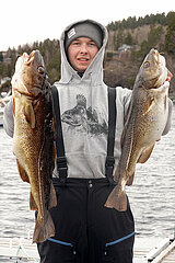 Vangshylla  Norwegen  junger Mann zeigt stolz seine frisch gefangenen Dorsche