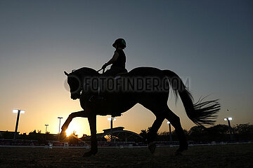 Doha  Silhouette: Reiterin und Pferd beim morgendlichen Training
