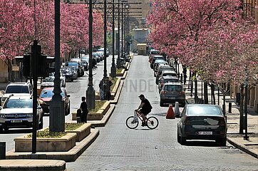 LEBANON-BEIRUT-SPRING-FLOWERS