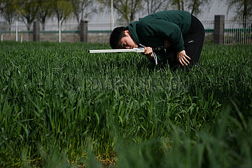 (EyesonSci)CHINA-ANHUI-AGRICULTURE-STUDENTS-PRACTICE (CN)