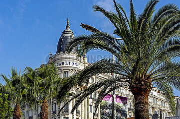 France. Alpes-Maritimes (06)  Cannes. Carlton Palace Hotel