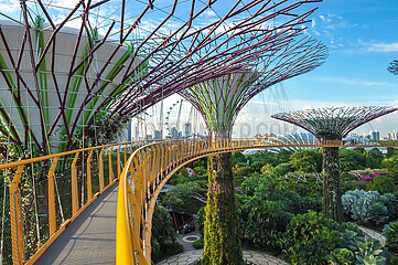 Singapore. Gardens by the bay. Park known for its incredible architectural towers from 25 to 50 meters high: the supertree grove  a kind of giant trees made of metal lace. These 18 futuristic structures are connected by an overhead bridge allowing a panoramic view of the park.