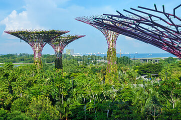 Singapore. Gardens by the bay. Park known for its incredible architectural towers from 25 to 50 meters high: the supertree grove  a kind of giant trees made of metal lace. These 18 futuristic structures are covered with vegetation.