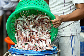 MYANMAR-YANGON-FISHING-BAN