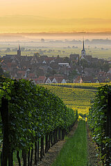 France. Bas-Rhin (67). Vine and Mittelbergheim village