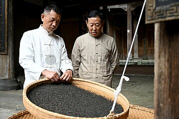 (Amazinganhui) China-Anhui-Qimen-Keemun-Fähigkeiten zur Herstellung von schwarzen Tee-Ineritors (CN)