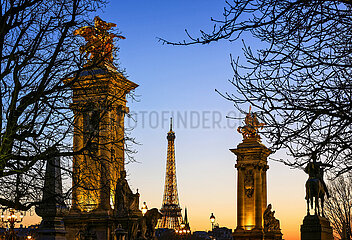 FRANCE. PARIS (75) ALEXANDRE III BRIDGE AND EIFFEL TOWER AT DUSK