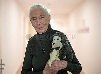 Jane Goodall Portrait