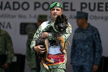 Mexiko-Naucalpan-T? Rkiye-Rescue-Hund