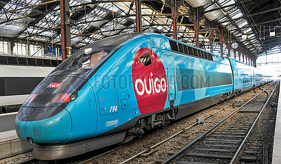 PARIS (75) 12 EME ARRONDISSEMENT. GARE DE LYON. TRAIN TGV OUIGO  LA FILIALE LOW COST DE LA SNCF