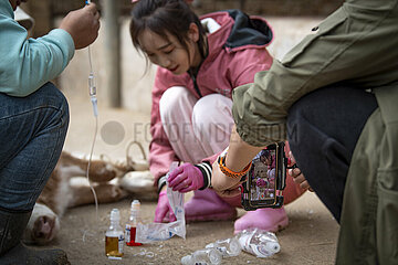 China-Ningxia-Yinchuan-Female-Tierarzt (CN)