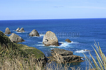 Nugget Point in Neuseeland