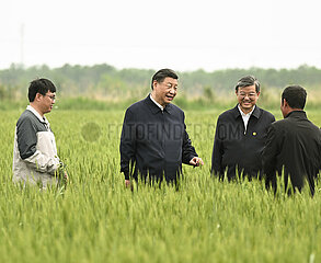 China-Hebei-Cangzhou-Xi Jinping-Inspection (CN)