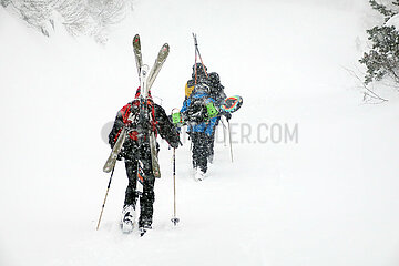 Krippenbrunn  Oesterreich  Skifahrer laufen bei Schneefall durch den Tiefschnee einen Hang hinauf