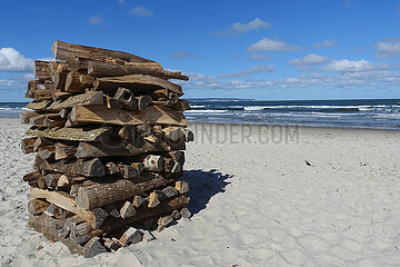 Binz  Deutschland  Holzstapel am Strand der Ostsee