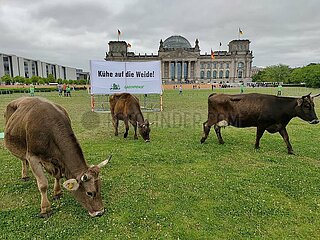 Greenpeace-Protest am 16.05.2023