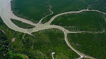 China-Guangxi-Hepu-Shankou Mangrove Nature Reserve-Conservator (CN)