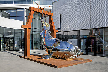 FRANCE. GIRONDE (33). BORDEAUX. THE MER MARINE MUSEUM  IN THE NEW BASSINS A FLOT DISTRICT  BACALAN. AT THE MUSEUM ENTRANCE  THE POLISHED METAL SCULPTURE OF A CAPTURED SHARK
