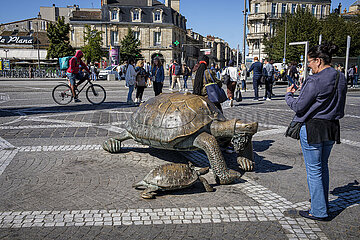 FRANCE. GIRONDE (33). BORDEAUX. VICTORY SQUARE. THE BRONZE TURTLES ARE THE WORK OF ARTIST IVAN THEIMER