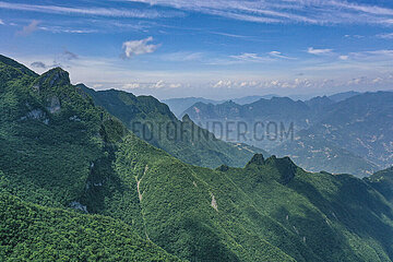 China-Chongqing-Wild-Pflanzenarten-Entdeckung (CN)