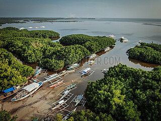 Coast of Panglao Town with Bangka Boots and mangroves