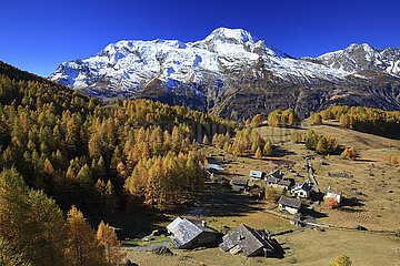 FRANCE. SAVOIE (73) HAUTE-TARENTAISE. VAL D'ISERE. MASSIF DE LA VANOISE IN THE FALL. THE VILLAGE OF MONAL SURROUNDED BY LARCH TREES  WITH MONT POURRI (3779M) IN THE BACKGROUND